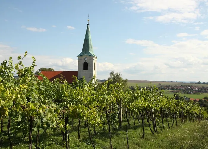 Ubytovani Ve Vinarstvi Medek | Medek House & Winery