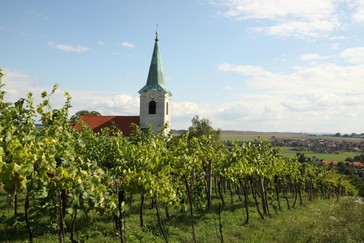 Ve Vinarstvi Medek | Medek House & Winery *