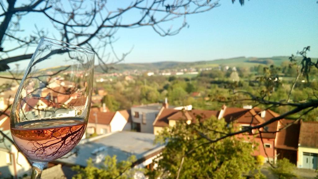 Appartement Ve Vinarstvi Medek | Medek House & Winery