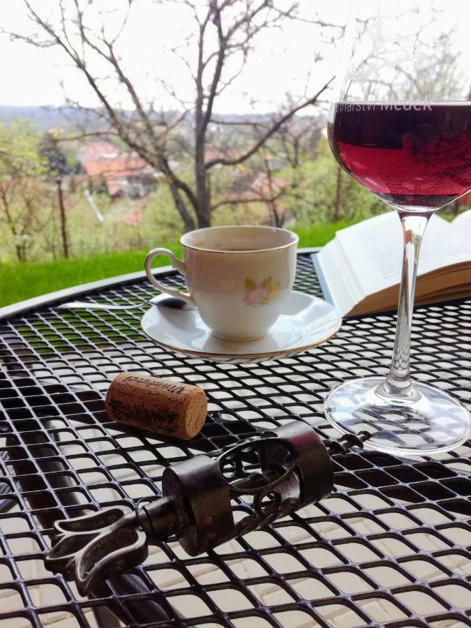 Appartement Ve Vinarstvi Medek | Medek House & Winery *